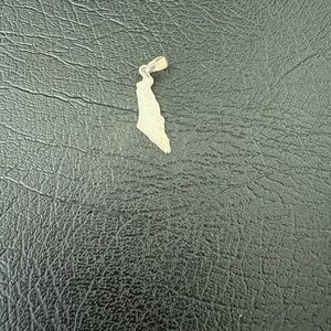 Silver State-Shaped Pendant